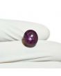 Star Ruby 9.4 Carat