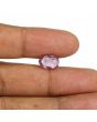 Burma Red Spinel 5.28 Carat