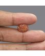 Sunstone 7.25 Carat
