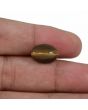 Natural Tiger Eye Gemstone Cts 6.02 Ratti 6.62