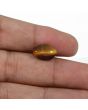 Natural Tiger Eye Gemstone Cts 5.56 Ratti 6.12