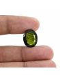 Green Tourmaline 9.84 Carat 