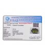 Green Tourmaline 9.84 Carat 