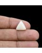 Japani White Coral 6.47 Carat 