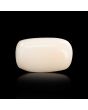 Japani White Coral 5.41 Carat 