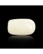 Japani White Coral 5.12 Carat 