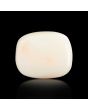 Japani White Coral 5.77 Carat 