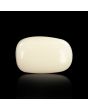 Japani White Coral 5.15 Carat 