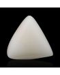 Japani White Coral 9.32 Carat 