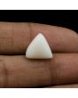 Japani White Coral 9.32 Carat 