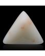 Japani White Coral 8.91 Carat 
