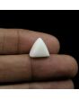 Japani White Coral 8.09 Carat 