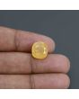 Yellow Sapphire - 9.05 Carat 