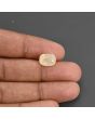 Yellow Sapphire - 5.69 Carat 