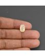 Yellow Sapphire - 5.69 Carat 