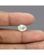 Ceylon Yellow Sapphire - 5.2 Carat 