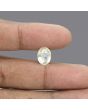 Ceylon Yellow Sapphire - 5.2 Carat 