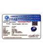 Pitambari Sapphire (Bi Colour) 3.69 Carat 