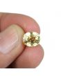 Yellow Zircon 4.9 Carat 
