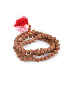 5 Mukhi Rudraksha Mala (Indonesia) (108+1 Beads) GJSPC Certified 6.00-6.50 M.M.