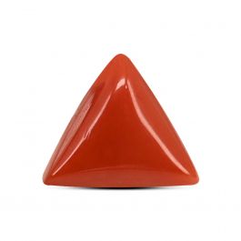 Red Coral (Moonga) Carat 5.94