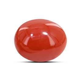 Japanese Red Coral (Moonga) 5.58 Carat 