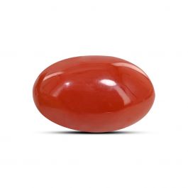 Japanese Red Coral (Moonga) 9.83 Carat 