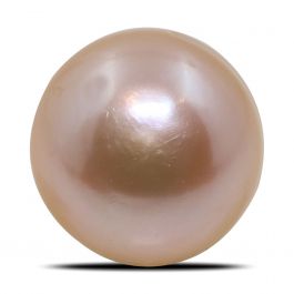 Fresh Water Pearl (Moti) 7.37 Carat 