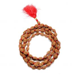4 Mukhi Rudraksha Mala (108+1 Beads)