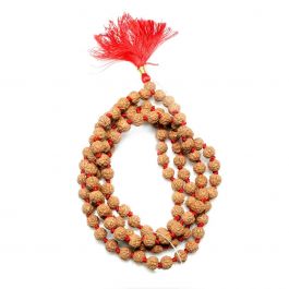 5 Mukhi Rudraksha Mala (108+1 Beads)