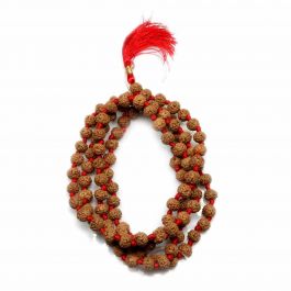 6 Mukhi Rudraksha Mala (108+1 Beads)
