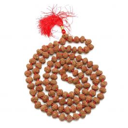 8 Mukhi Rudraksha Mala (108+1 Beads)