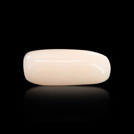 Japani White Coral 5.93 Carat 