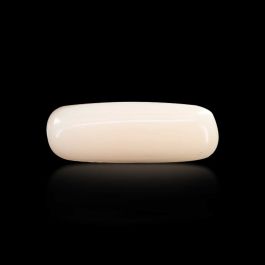 Japani White Coral 5.76 Carat 