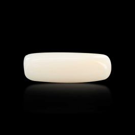 Japani White Coral 5.8 Carat 