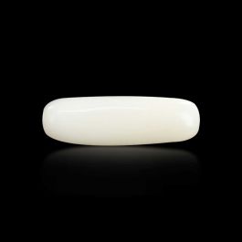 Japani White Coral 6.54 Carat 