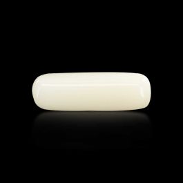 Japani White Coral 6.55 Carat 