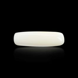 Japani White Coral 6.88 Carat 