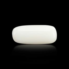 Japani White Coral 5.57 Carat 