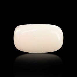 Japani White Coral 4.9 Carat 