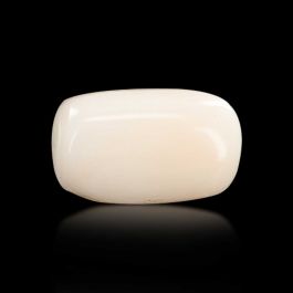 Japani White Coral 5.41 Carat 