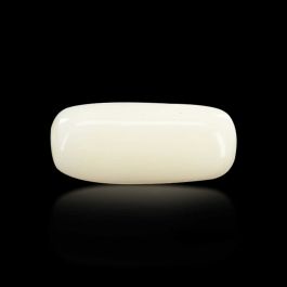 Japani White Coral 6.8 Carat 