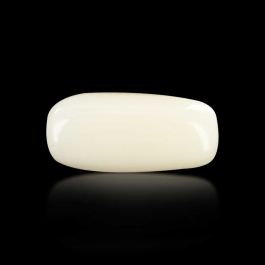 Japani White Coral 6.9 Carat 