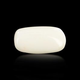Japani White Coral 6.08 Carat 
