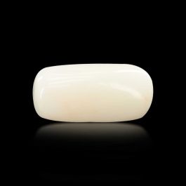 Japani White Coral 5.66 Carat 
