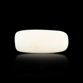 Japani White Coral 6.1 Carat 