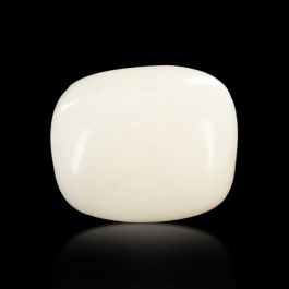 Japani White Coral 5.77 Carat 
