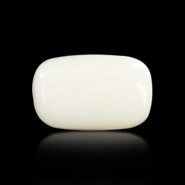 Japani White Coral 5.31 Carat 