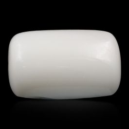 Japani White Coral 10.83 Carat 