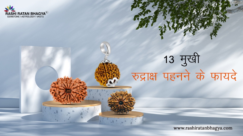 13 मुखी रुद्राक्ष के फायदे (13 Mukhi Rudraksha ke fayde)